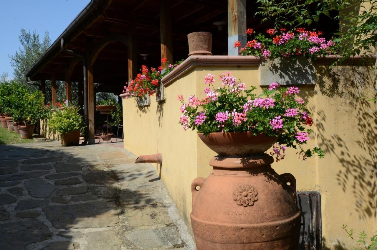 Agriturismo La Casella Castelfranco di Sopra Ngoại thất bức ảnh