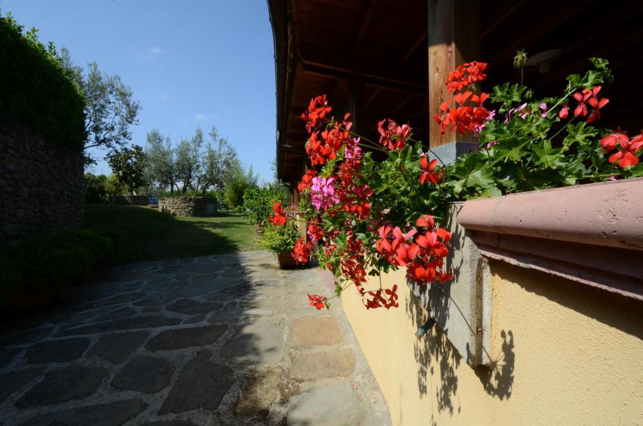 Agriturismo La Casella Castelfranco di Sopra Ngoại thất bức ảnh